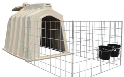 white calf hutch with cage