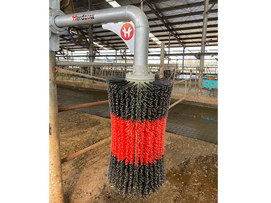Hanging Cow Brush Without Motor6