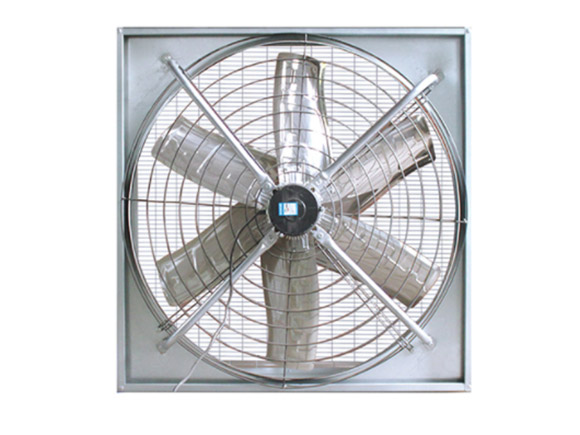 Stainless Steel Cow Farm Fan5