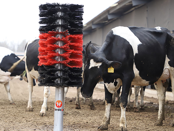 Standing Cow Brush without Motor3